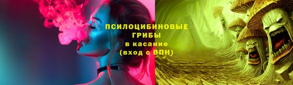 гидра Гусиноозёрск