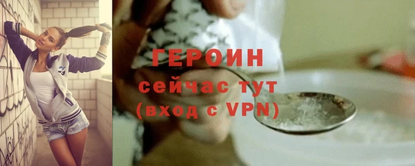 гидра Гусиноозёрск