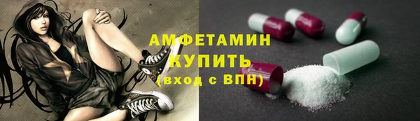 гидра Гусиноозёрск