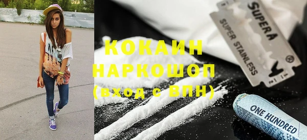 гидра Гусиноозёрск