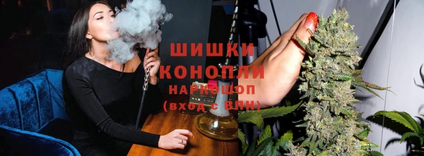 гидра Гусиноозёрск