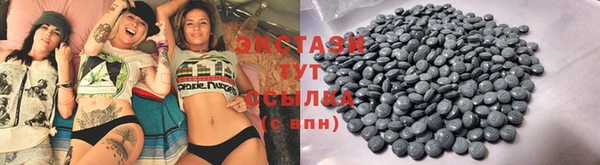 гидра Гусиноозёрск